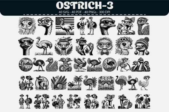 Quirky Ostrich Clipart – 40 Designs: A Practical Review for Digital Sellers