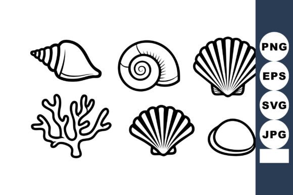 Seashell and Coral Vector Collection Wit: Elegant Graphics for Marine-Themed Editorial Design